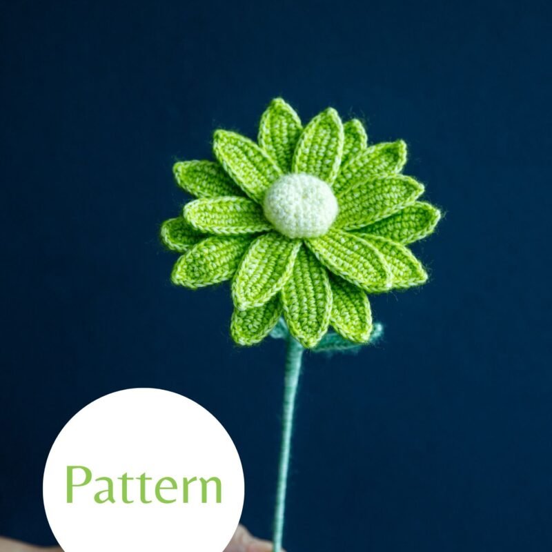 Field Daisy #37